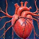 Sănătate cardiovasculară cu Glucovitalhub